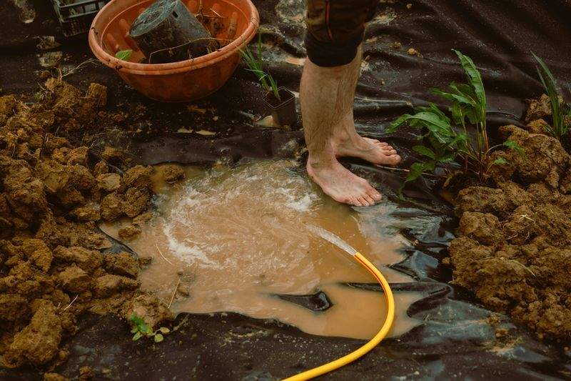 花壇・植栽の設計と施工